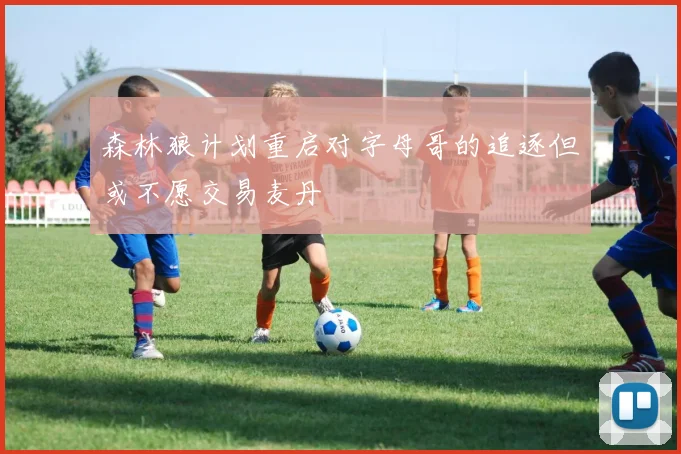 森林狼计划重启对字母哥的追逐但或不愿交易麦丹