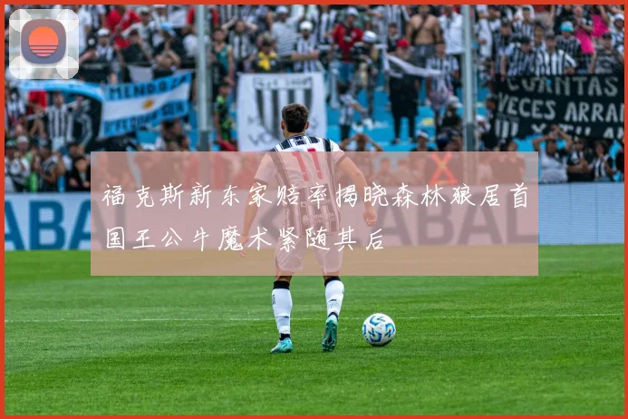 福克斯新东家赔率揭晓森林狼居首国王公牛魔术紧随其后